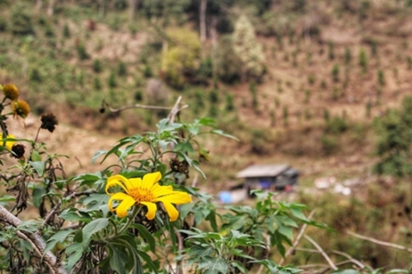 10 Duong Len Lai Chau Hoa Dao No Tham Canh Sac Ngan Nam Co Mot