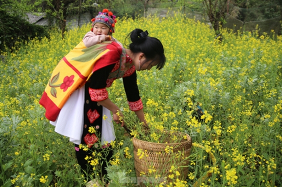 11 Duong Len Lai Chau Hoa Dao No Tham Canh Sac Ngan Nam Co Mot