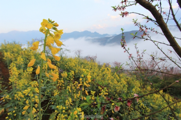 3 Duong Len Lai Chau Hoa Dao No Tham Canh Sac Ngan Nam Co Mot