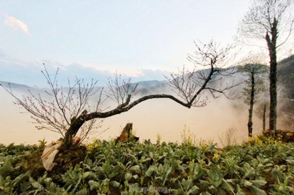 5 Duong Len Lai Chau Hoa Dao No Tham Canh Sac Ngan Nam Co Mot