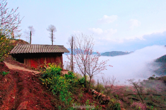 6 Duong Len Lai Chau Hoa Dao No Tham Canh Sac Ngan Nam Co Mot