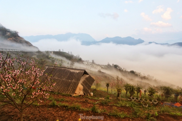 7 Duong Len Lai Chau Hoa Dao No Tham Canh Sac Ngan Nam Co Mot