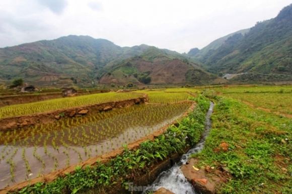 9 Duong Len Lai Chau Hoa Dao No Tham Canh Sac Ngan Nam Co Mot