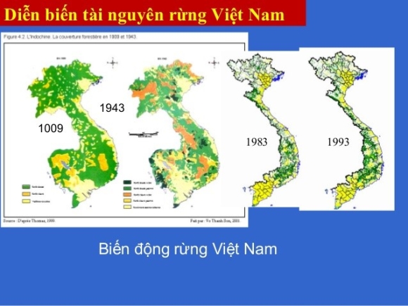 Giải pháp cho rừng nguyên sinh Mỹ Thạnh và hồ chứa nước Ka Pét