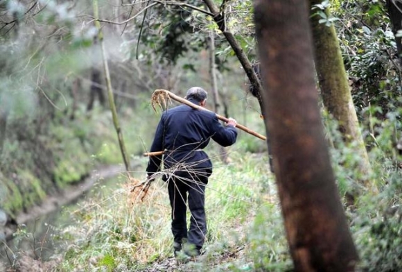 Lão nông lên núi phát hiện 1 con vật "đen sì" kỳ lạ, cảnh sát lập tức phong tỏa cả ngôi làng