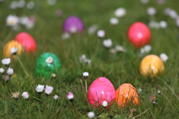 1 Tranh Cai Ve Viec Bai Bo Ngay Le Phan Da Nguoi Dan Duc Phan Doi