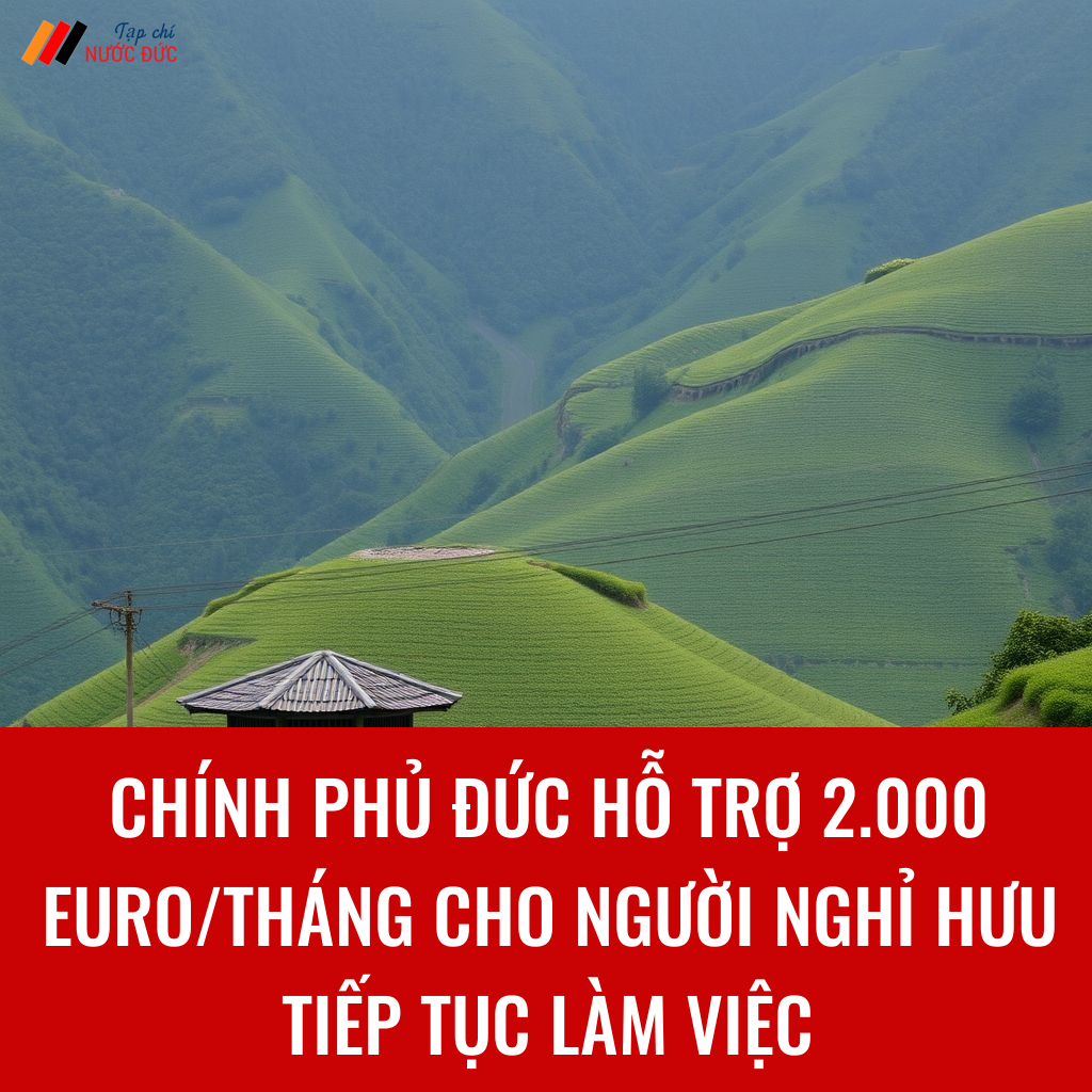 Chính phủ Đức hỗ trợ 2.000 euro/tháng cho người nghỉ hưu tiếp tục làm việc
