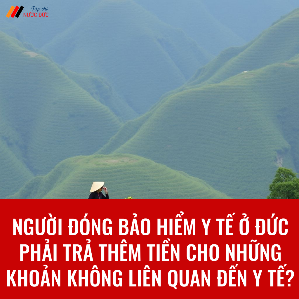 Người đóng bảo hiểm y tế ở Đức phải trả thêm tiền cho những khoản không liên quan đến y tế?
