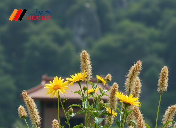 Hai bước quan trọng để không mất trợ cấp thất nghiệp