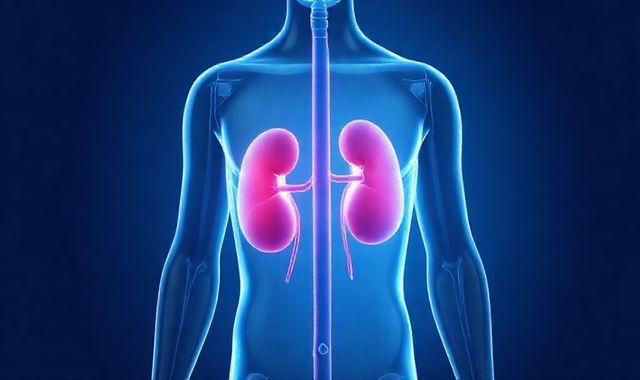 Nghiên cứu The Lancet: Bệnh thận mãn tính ảnh hưởng đến gần 800 triệu người toàn cầu