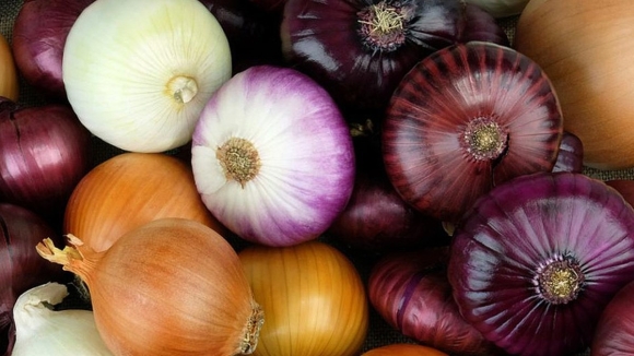 1 Hanh Tay Co 4 Cong Dung Than Ky Ai Khong Biet Thi Rat Thiet