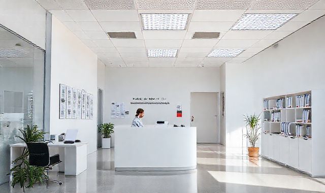 Đức cải cách trợ cấp xã hội: Bürgergeld đổi tên và chính sách nghiêm khắc hơn từ 2026