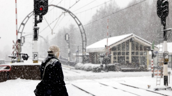 1 Chau Au Chim Trong Hon Loan Vi Tuyet Roi Day Va Gia Ret Ky Luc