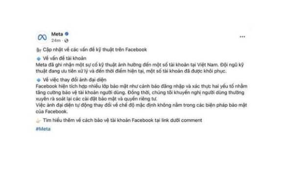 2 Meta Len Tieng Vu Facebook Viet Nam Mat Avatar Gay Hoang Mang