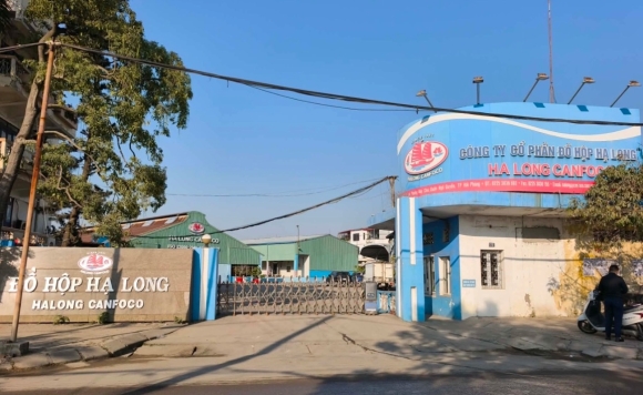 5 Trai Dang Cua Novaland   Vua Chi 1400 Ty Gian Tiep Thau Tom Do Hop Ha Long Thi Vuong Lum Xum Thit Ban