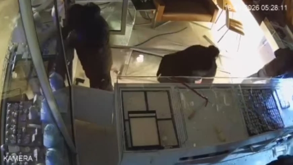 2 Bang Cuop Dung O To Lao Sap Cua Hang Trang Suc Tai Duisburg Nhu Phim Hanh Dong