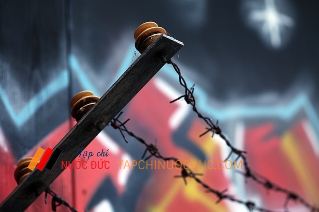 barbed wire 946523 640
