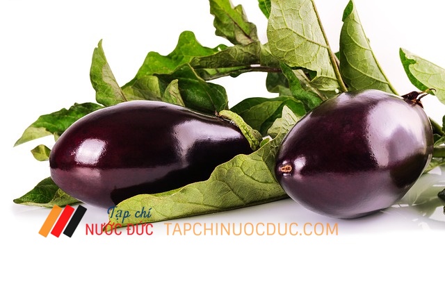 Eggplant 1659784 640